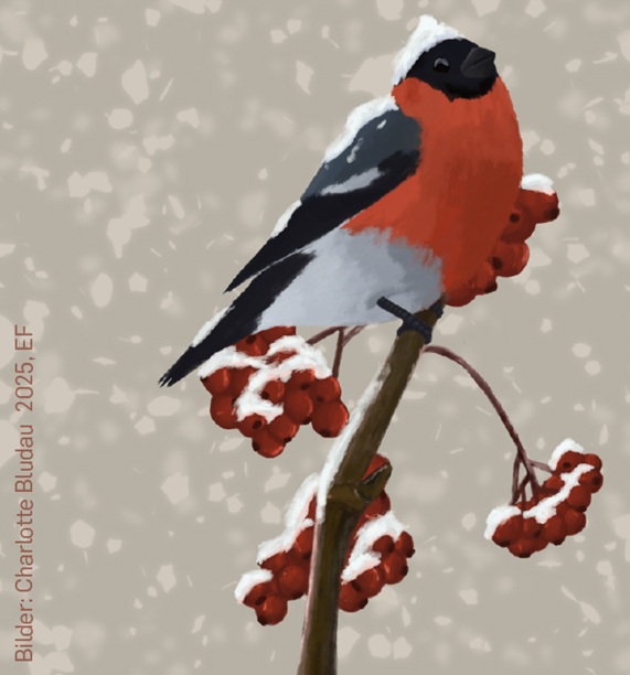 Weihnachtsgrüße vom Burggymnasium