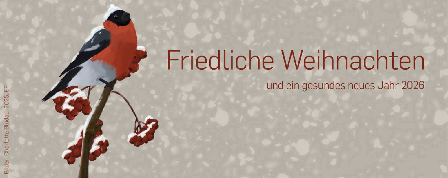 Weihnachtsgrüße vom Burggymnasium